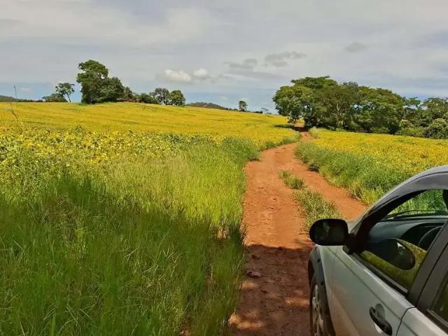 Sítio / Chácara para Venda em Silvânia/GO Centro 3 Quartos