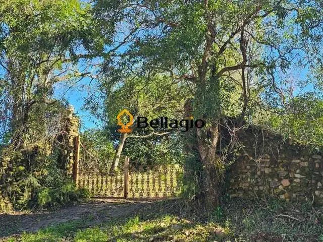 Sítio / Chácara para Venda em Silveira Martins/RS Zona Rural 1 Quartos