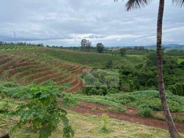 Sítio / Chácara para Venda em Silvianópolis/MG Água Limpa