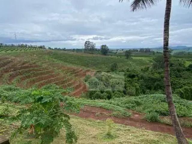 Sítio / Chácara para Venda em Silvianópolis/MG Água Limpa