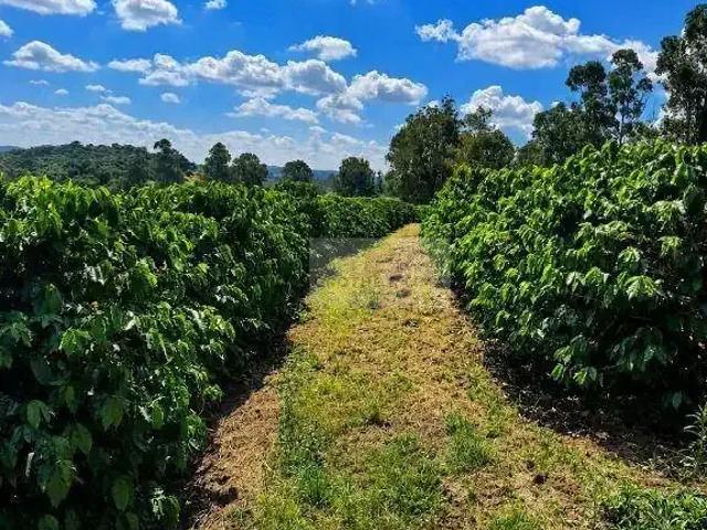 Sítio / Chácara para Venda em Silvianópolis/MG Centro