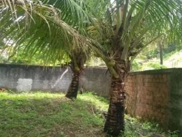 Simões Filho, Bahia - Jardim