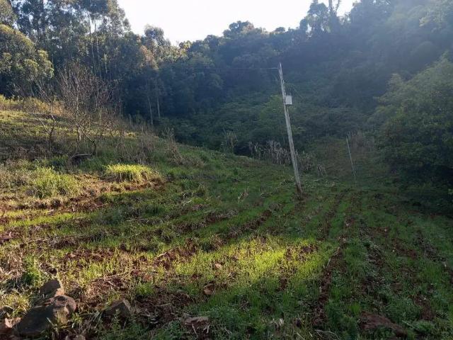 Sítio / Chácara para Venda em Sinimbu/RS Zona Rural