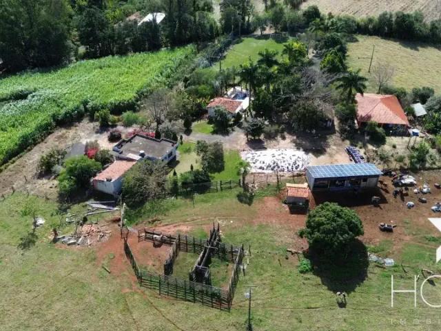 Sítio / Chácara para Venda em Siqueira Campos/PR Centro 6 Quartos