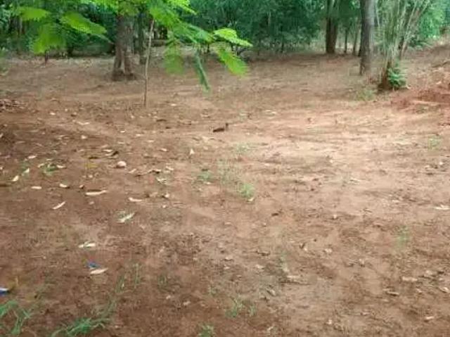 Sítio / Chácara para Venda em Suzanápolis/SP Zona Rural 2 Quartos