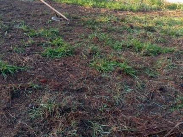 Sítio / Chácara para Venda em Suzano/SP Chácaras Ceres