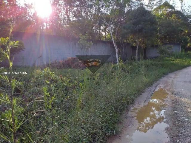 Sítio / Chácara para Venda em Suzano/SP Jardim das Lavras
