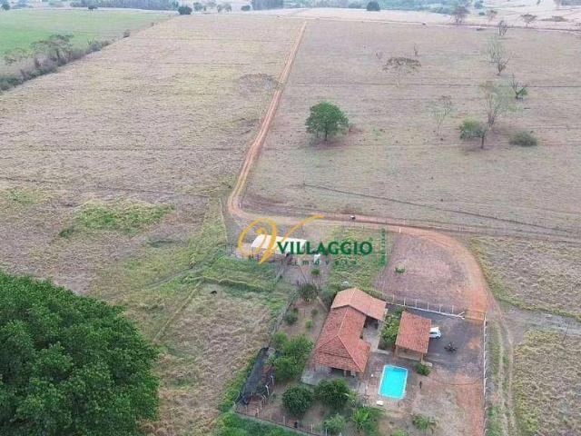 Sítio / Chácara para Venda em Potirendaba/SP Zona Rural