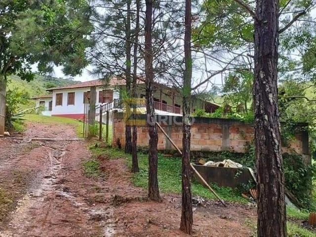 Sítio / Chácara para Venda em Pouso Alto/MG Zona Rural 8 Quartos