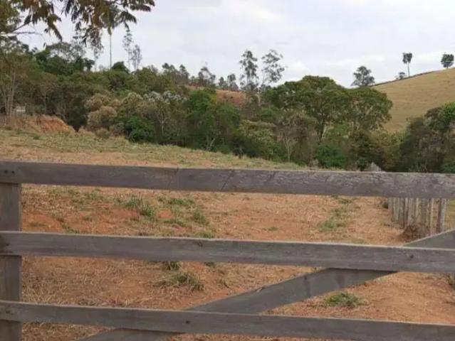 Sítio / Chácara para Venda em Congonhal/MG Centro