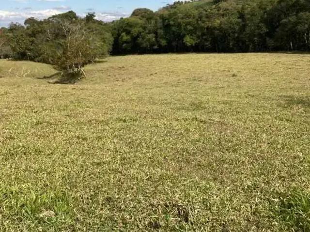 Sítio / Chácara para Venda em Pouso Alegre/MG São José do Pântano
