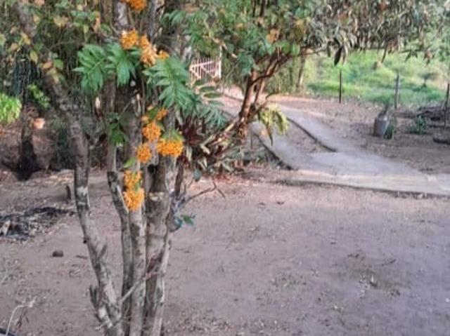 Sítio / Chácara para Venda em Pouso Alegre/MG São José do Pântano 2 Quartos