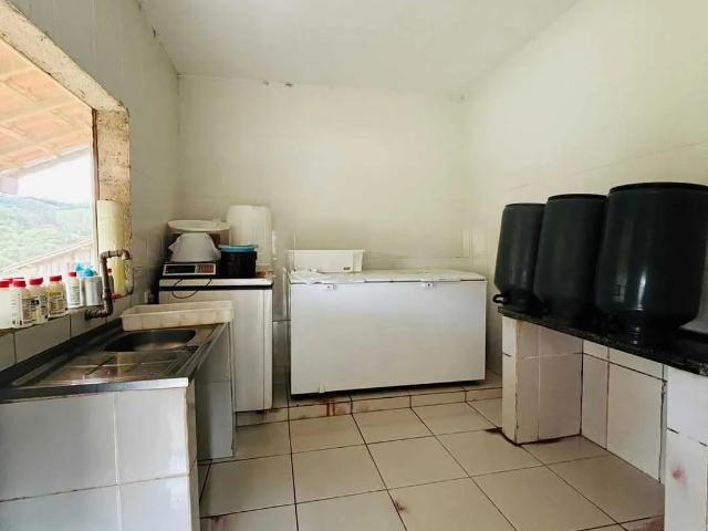 Sítio / Chácara para Venda em Poços de Caldas/MG Centro