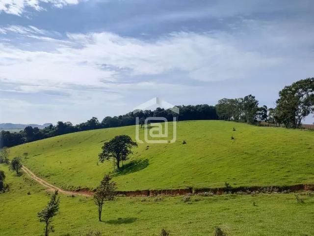 Sítio / Chácara para Venda em Poços de Caldas/MG Área Rural de Poços de Caldas 3 Quartos