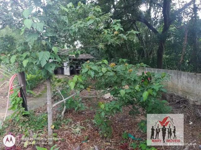 Sítio / Chácara para Venda em Poços de Caldas/MG Área Rural de Poços de Caldas 2 Quartos