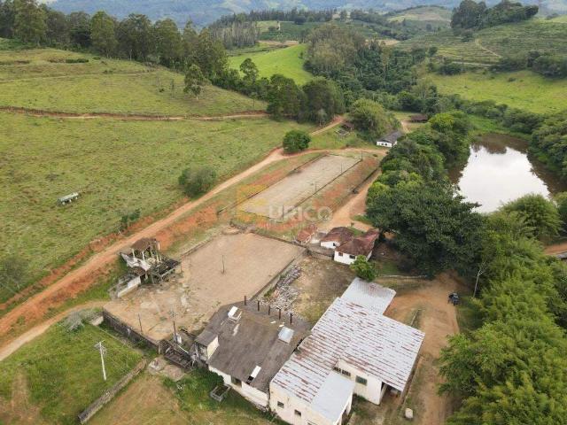 Sítio / Chácara para Venda em Poços de Caldas/MG Área Rural de Poços de Caldas