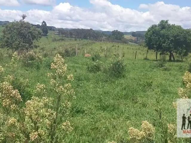 Sítio / Chácara para Venda em Poços de Caldas/MG Área Rural de Poços de Caldas