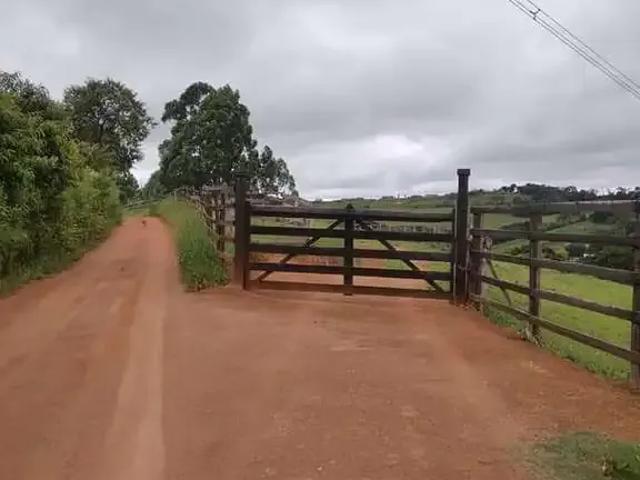 Sítio / Chácara para Venda em Poços de Caldas/MG Área Rural de Poços de Caldas