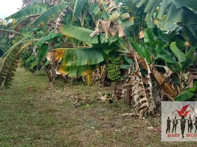 Sítio / Chácara para Venda em Poços de Caldas/MG Vila Cascata das Antas 3 Quartos