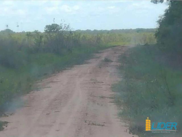 Sítio / Chácara para Venda em Poconé/MT Zona Rural