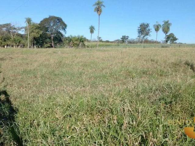 Sítio / Chácara para Venda em Poconé/MT Zona Rural