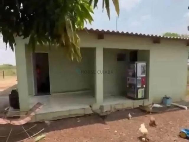 Sítio / Chácara para Venda em Poconé/MT Zona Rural 3 Quartos