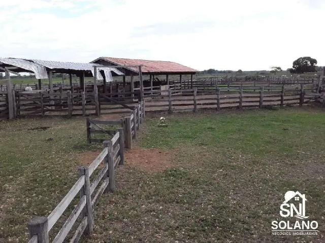 Sítio / Chácara para Venda em Poconé/MT Zona Rural 3 Quartos