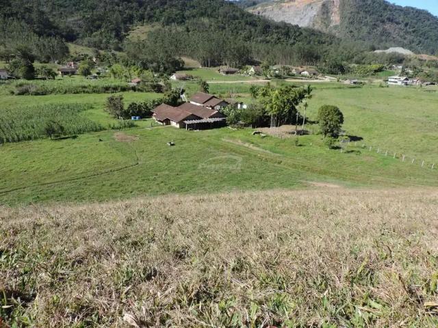 Sítio / Chácara para Venda em Pomerode/SC Vale do Selke Grande 4 Quartos