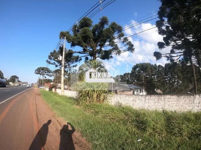 Sítio / Chácara para Venda em Ponta Grossa/PR Chapada