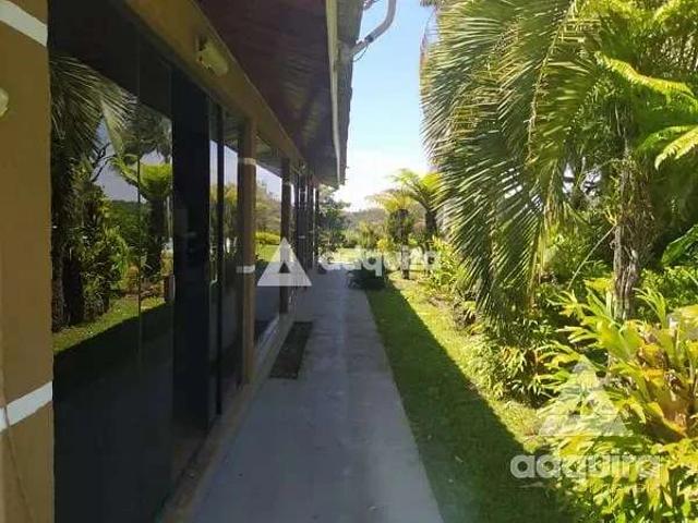 Sítio / Chácara para Venda em Ponta Grossa/PR Chapada 3 Quartos