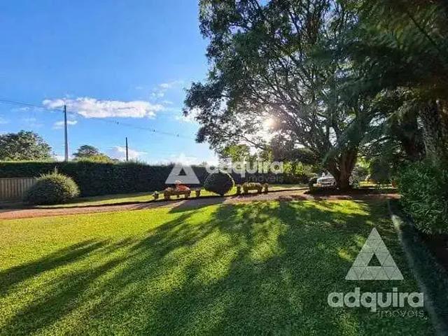 Sítio / Chácara para Venda em Ponta Grossa/PR Jardim Carvalho 4 Quartos