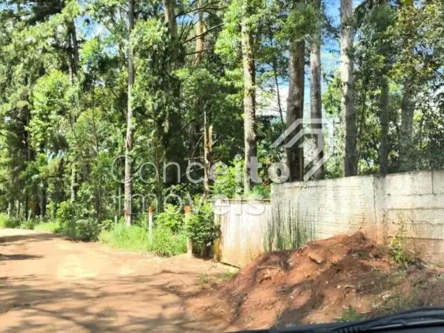 Sítio / Chácara para Venda em Ponta Grossa/PR Zona Rural