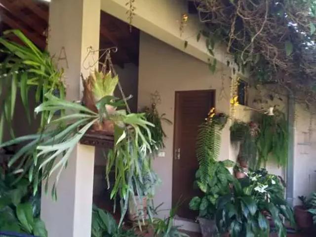 Sítio / Chácara para Venda em Pontal/SP Centro 4 Quartos