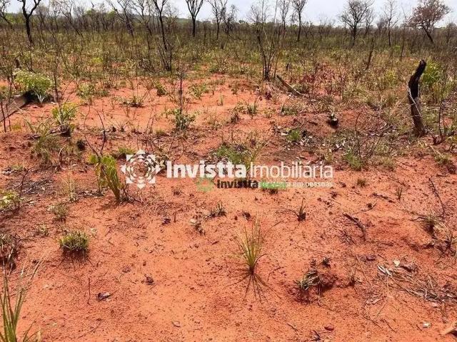 Sítio / Chácara para Venda em Ponte Alta do Tocantins/TO Zona Rural