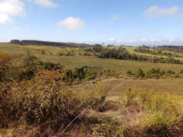 Sítio / Chácara para Venda em Ponte Alta/SC Zona Rural