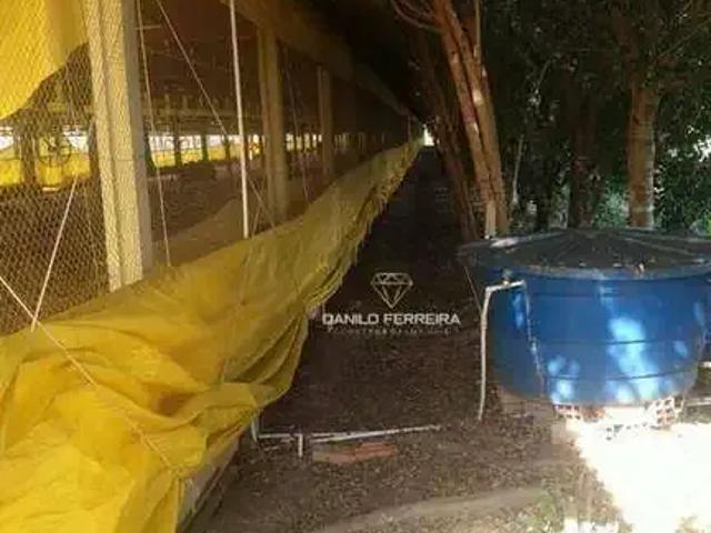 Sítio / Chácara para Venda em Porangaba/SP Área Rural de Porangaba 2 Quartos