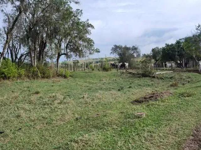 Sítio / Chácara para Venda em Porangaba/SP Área Rural de Porangaba 1 Quartos