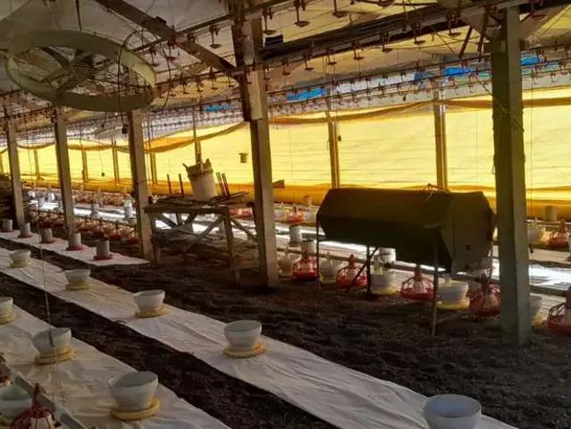Sítio / Chácara para Venda em Porangaba/SP Área Rural de Porangaba 3 Quartos