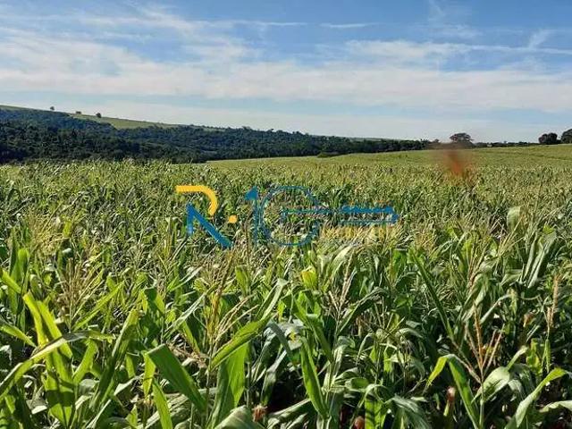 Sítio / Chácara para Venda em Porecatu/PR Zona Rural