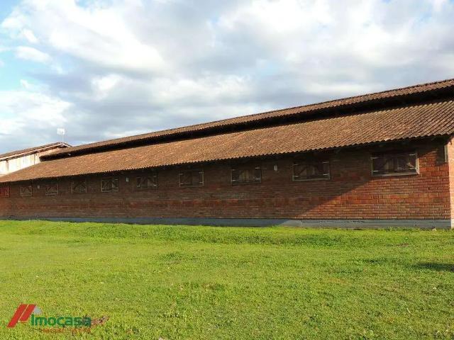 Sítio / Chácara para Venda em Portão/RS Centro 2 Quartos