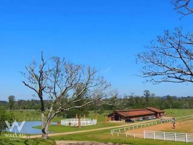 Sítio / Chácara para Venda em Portão/RS Aparecida 1 Quartos