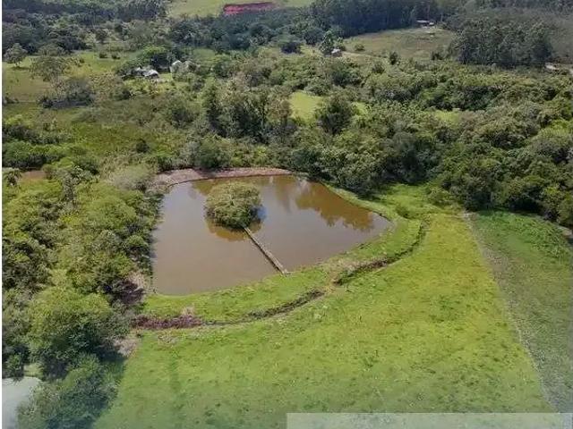 Sítio / Chácara para Venda em Portão/RS Rincão do Cascalho