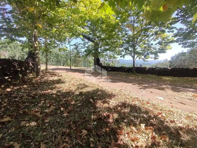 Sítio / Chácara para Venda em Portão/RS Zona Rural 5 Quartos