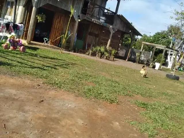 Sítio / Chácara para Venda em Portão/RS Zona Rural 2 Quartos