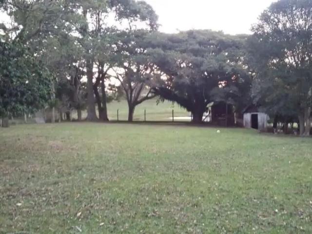 Sítio / Chácara para Venda em Portão/RS Zona Rural 2 Quartos