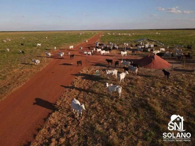 Sítio / Chácara para Venda em Porto Alegre do Norte/MT Zona Rural 3 Quartos