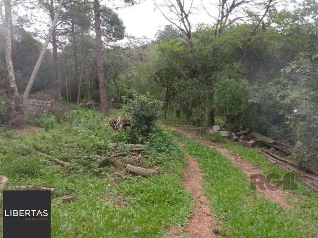 Sítio / Chácara para Venda em Porto Alegre/RS Belém Velho