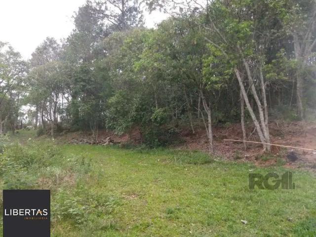 Sítio / Chácara para Venda em Porto Alegre/RS Belém Velho