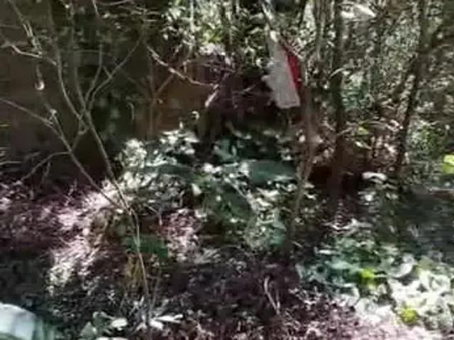 Sítio / Chácara para Venda em Porto Alegre/RS Lageado