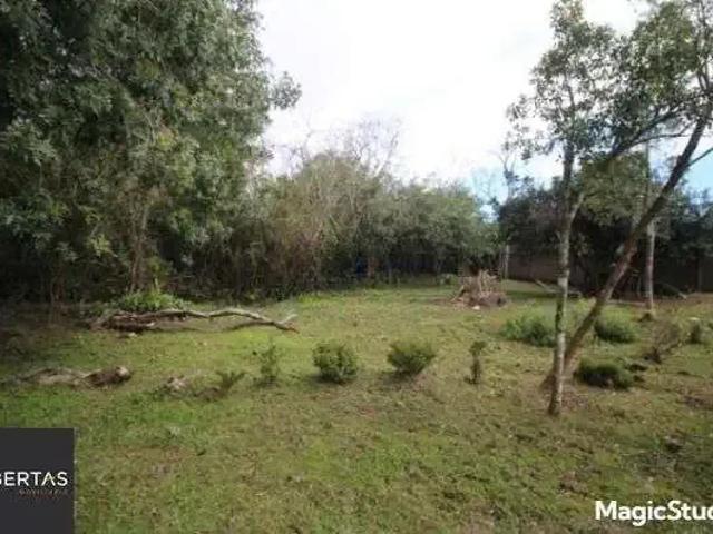 Sítio / Chácara para Venda em Porto Alegre/RS Lageado 2 Quartos
